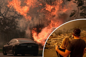 Flammeninferno tötet fünf Menschen in Los Angeles: Zerstörung wie in Kriegszone!