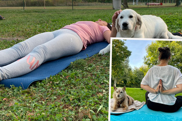 Achtsam die Pfote streicheln: Leipzigerin bietet Kurs im Hunde-Yoga an