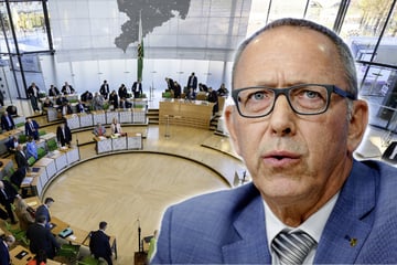 Schneckentempo beim Personalabbau: AfD übt harte Kritik