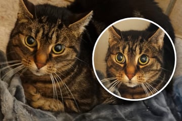 Sie versteht die Welt nicht mehr: Hera Blitzi hat alles verloren