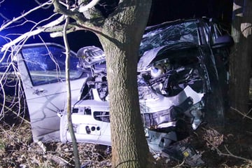 Transporter landet in Baumgruppe: Fahrer wird eingeschlossen