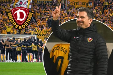 Dynamo in Kiel pfui, gegen Schalke hui? Ein Blick auf die Zahlen überrascht