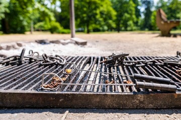 Grillplätze in Magdeburg werden freigegeben: Das gilt es, bei der Nutzung zu beachten