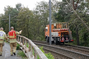 Dresden: Ex-Hurrikan Kirk fegt über Dresden hinweg: Baum kracht auf Oberleitung