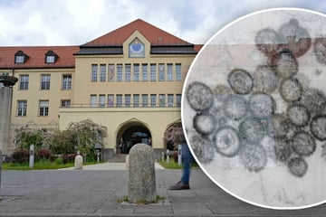 Hantavirus-Kontaktperson in München: So geht es nun weiter