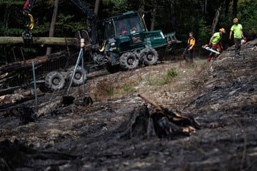 Brandstiftung bei Waldbränden in Hessen immer wahrscheinlicher: Polizei sucht dringend Zeugen
