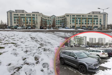 Dresden: Neues Projekt in Dresden? Ganzes Wohnviertel soll Fahrradzone werden