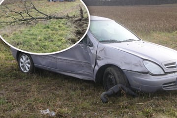 Unfall im Landkreis Leipzig: Citroën fällt Baum und überschlägt sich