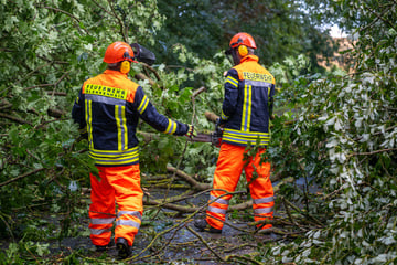 Starkes Unwetter im Weimarer Land: Mehrere Orte verwüstet