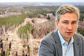 Umstrittener Regionalplan aufgestellt: Kommen jetzt tatsächlich Windräder in die Heide?