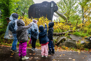 Chemnitz: Chemnitzer Tierpark bleibt wegen Eisglätte heute geschlossen