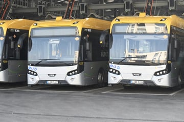 Leipzig: Full House: (Fast) alle "kurzen" E-Busse der LVB stehen still