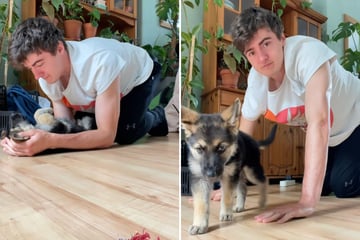 Dog owner's hilarious attempt to workout with playful puppy underfoot goes viral