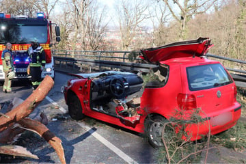 20-Meter-Baum stürzt auf vorbeifahrenden Polo: Feuerwehr muss Insassen befreien