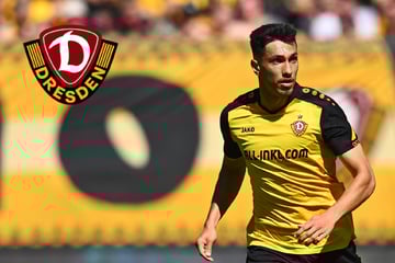 Dynamo-Dresden-Blog: Kurze Sommerpause - Kammerknecht wieder auf Länderspielreise