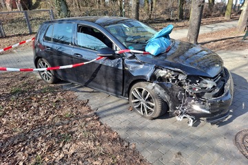 Crash ohne Führerschein: Fahrer kracht mit 1,95 Promille gegen Baum