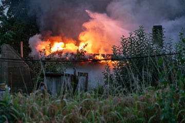 Meterhohe Flammen: Laubenbrand fordert Freiwillige Feuerwehr