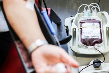 Blutspenden ist wichtig und kann Leben retten: So viele Konserven werden in Hessen täglich benötigt