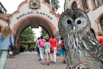 Vom Zoo Leipzig in die weite Welt: Tierpärchen muss sich ab jetzt allein durchschlagen