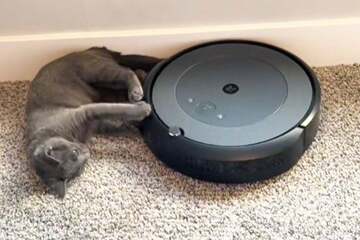 Cat's adorable use for robot vacuum goes viral!