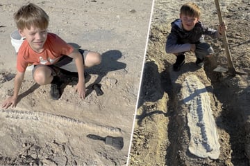 Wahnsinn beim Schulausflug: Was dieser Junge ausgräbt, ist eine Sensation