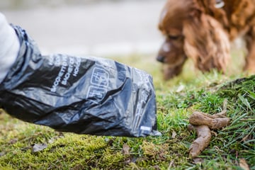 Streit zwischen Hundebesitzern eskaliert: Mann wirft mit Kot