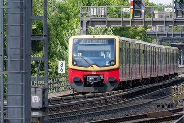 Berlin: Schon wieder S-Bahn-Störung: S1 und S7 betroffen