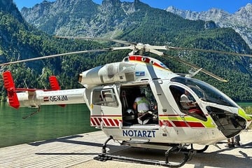 Kuh schleudert Wanderin durch die Luft: 58-Jährige schwer verletzt ins Krankenhaus geflogen