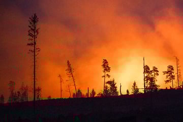 Waldbrand auf Saalfelder Höhe: Landkreise warnen - auch in Bayern!