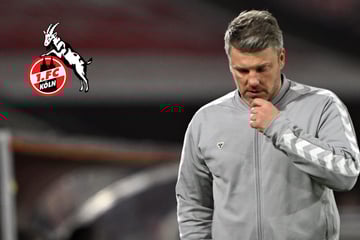 Lukas Kwasniok beim 1. FC Köln vor dem Aus? Das sagt der Trainer selbst zu den Gerüchten