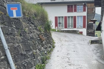 Sohn findet Mutter leblos auf Straße: Kuhherde trampelt Frau zu Tode
