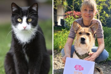 Berlin: Save the date: Tag der offenen Tür im Tierheim Berlin