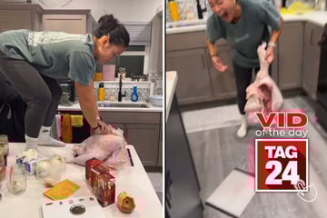 Viral Video of the Day for November 23, 2023: Thanksgiving turkey gets CPR in hilarious TikTok video!