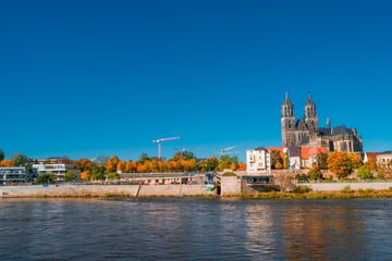 Die besten Museen in Magdeburg erweitern Deinen Horizont