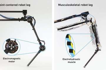 First robot leg with "artificial muscles" can help with jumping, hugging, and shaking hands