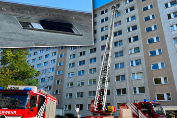 Plattenbau-Brand in Magdeburg: "Personen sollten am Fenster hängen"
