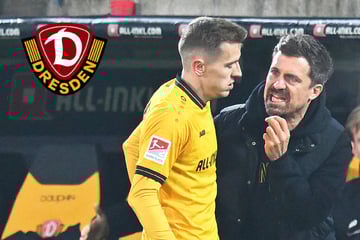 Alles andere als ein Wackelkontakt: Ohne "Haupe" geht es bei Dynamo nicht