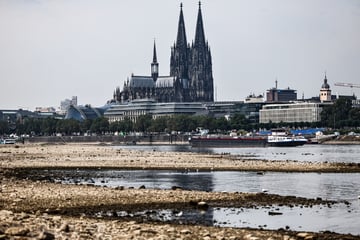 Wetter in NRW: Regen lässt weiter auf sich warten, Experten erwarten neues Rhein-Rekordtief