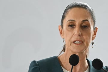 Mexican President Sheinbaum slams US import halt: "Totally exaggerated"