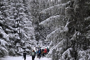 Wintersport-Fans, aufgepasst! Gefahr vor Eisbruch im Thüringer Wald