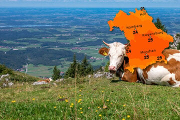 Wetter in Bayern: Freundlicher Mix aus Sonne und Wolken – doch ganz ohne Regen geht's nicht