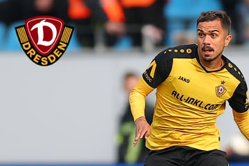 Dynamo-Dresden-Blog: Süße Baby-News! Oliver Batista Meier wird erstmals Vater