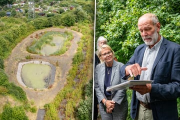 Dresden: Zurück in die Steinzeit! So lebte Dresden vor 7000 Jahren