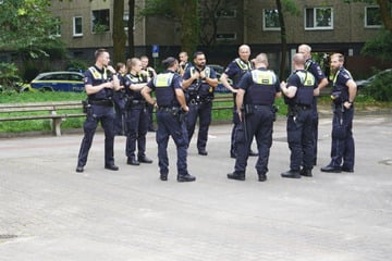 Streit zwischen Nachbarn löst Großeinsatz der Polizei aus