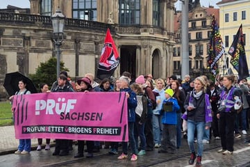 Dresden: AfD-Verbot prüfen: Demonstranten ziehen durch Dresden