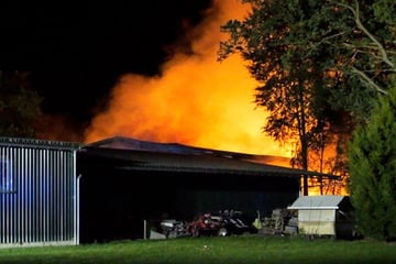 Eine halbe Million Schaden! 15 Pferde müssen bei Feuer auf Reitanlage gerettet werden