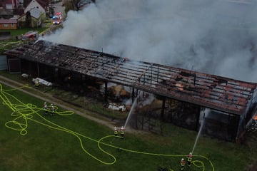 Rauchsäule kilometerweit sichtbar: 1800-Quadratmeter-Scheune brennt komplett nieder