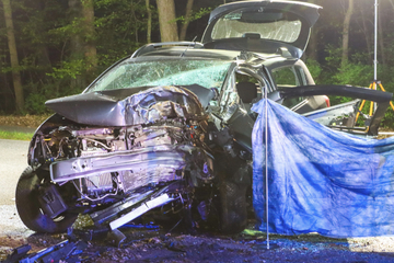 Autofahrerin (†40) verliert Kontrolle, kracht gegen Baum und stirbt