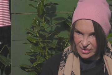 Promi Big Brother: Im Restaurant turtelnd mit einer Fremden erwischt! Anouschka Renzi tritt ihrem Ehemann ins Gesicht