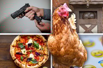 Vom fehlenden Po bis zum Hühner-Raub: Das sind Sachsen-Anhalts kurioseste Polizeifälle 2025!